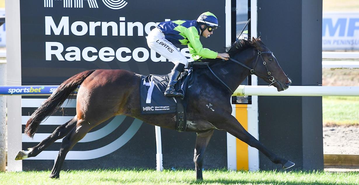 Stahnado - Mornington 26th May 2025
